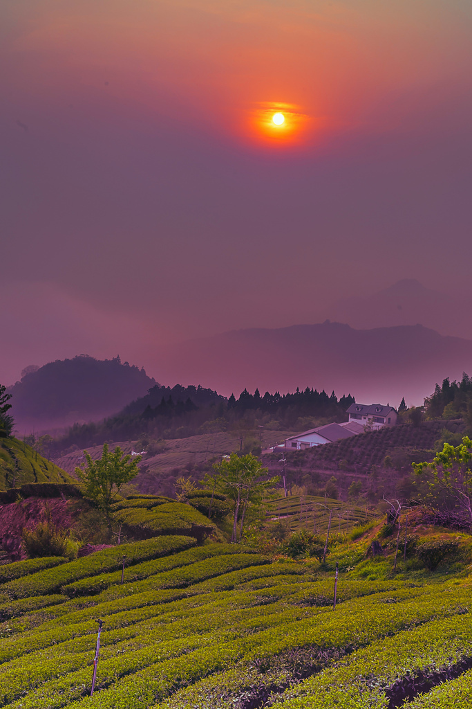 202103290059620210329頂石棹_6084-1.jpg 202103290059620210329頂石棹_6084-1.jpg