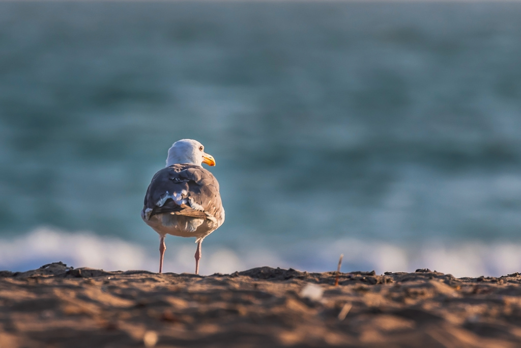 2021071800102.jpg 2021071800102.jpg