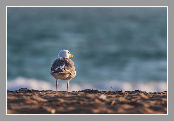 20210717Seal Beach Sunset And Tourists_8114-1.jpg