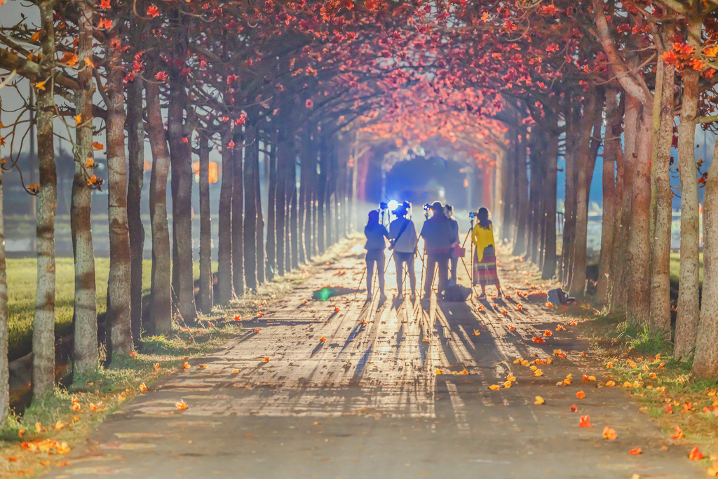 03192200090.jpg 03192200090.jpg