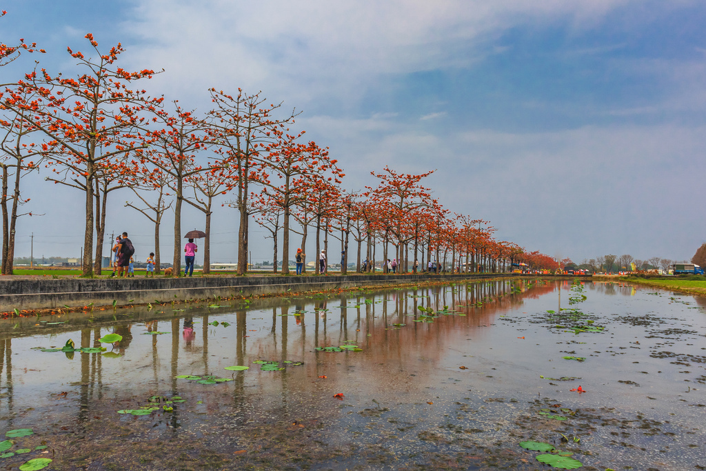 03212200106.jpg 03212200106.jpg