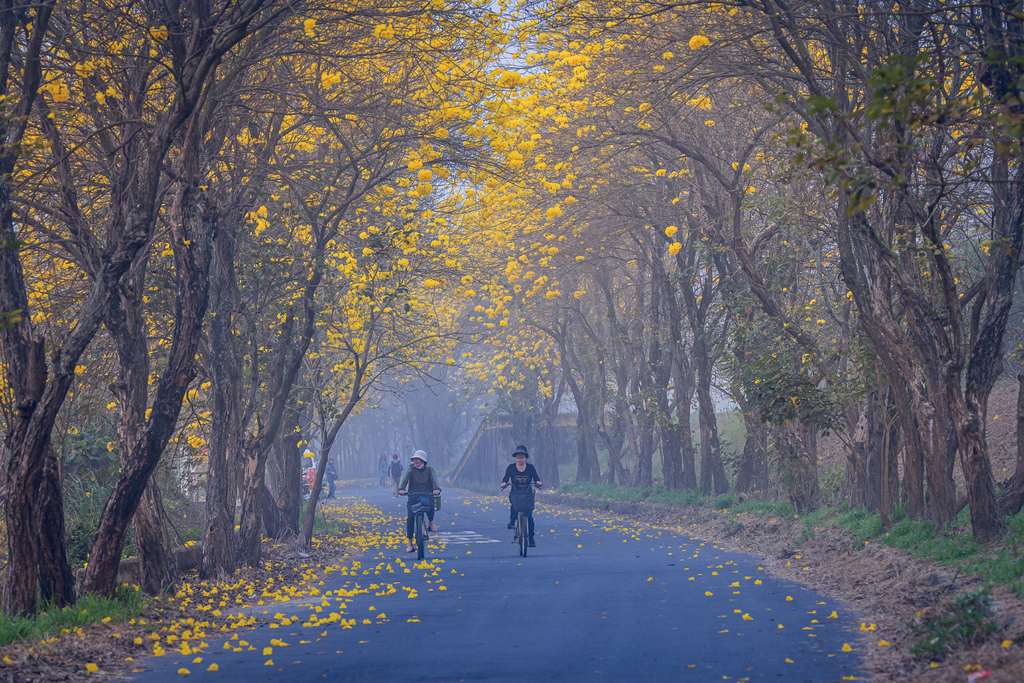 03172200081.jpg 03172200081.jpg