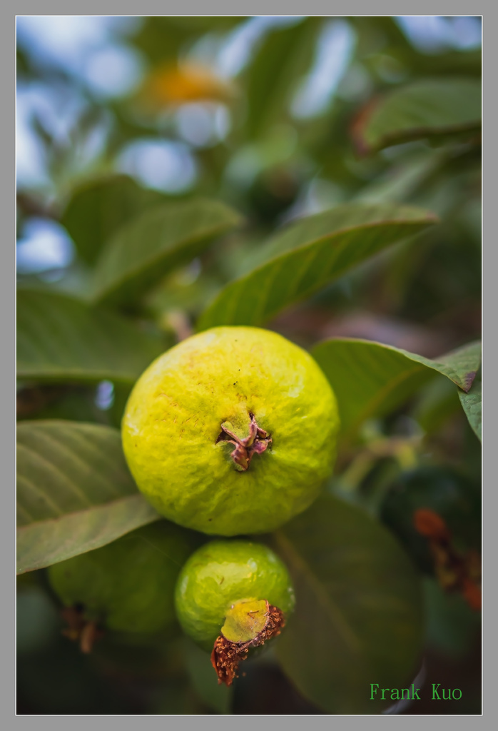 20220829_8541-1 拷貝 2.jpg