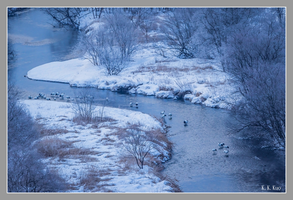 20230208頂頂鶴&虎海鵰之晨_0914-2.jpg 20230208頂頂鶴&虎海鵰之晨_0914-2.jpg