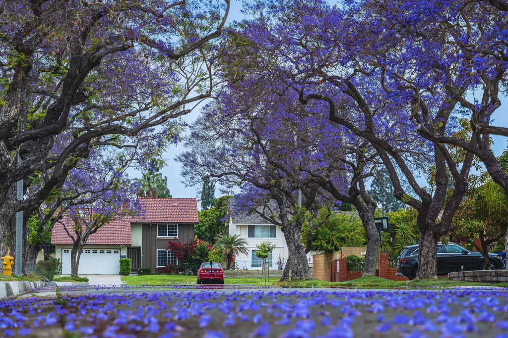 06092300912.jpg 06092300912.jpg