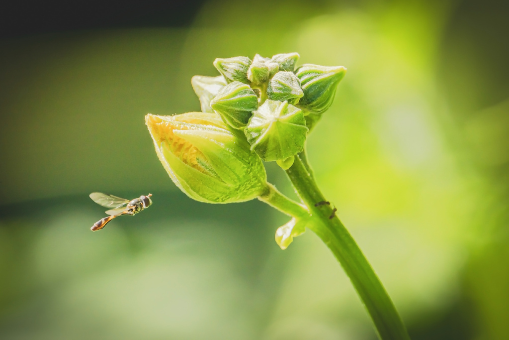 09052300975.jpg 09052300975.jpg