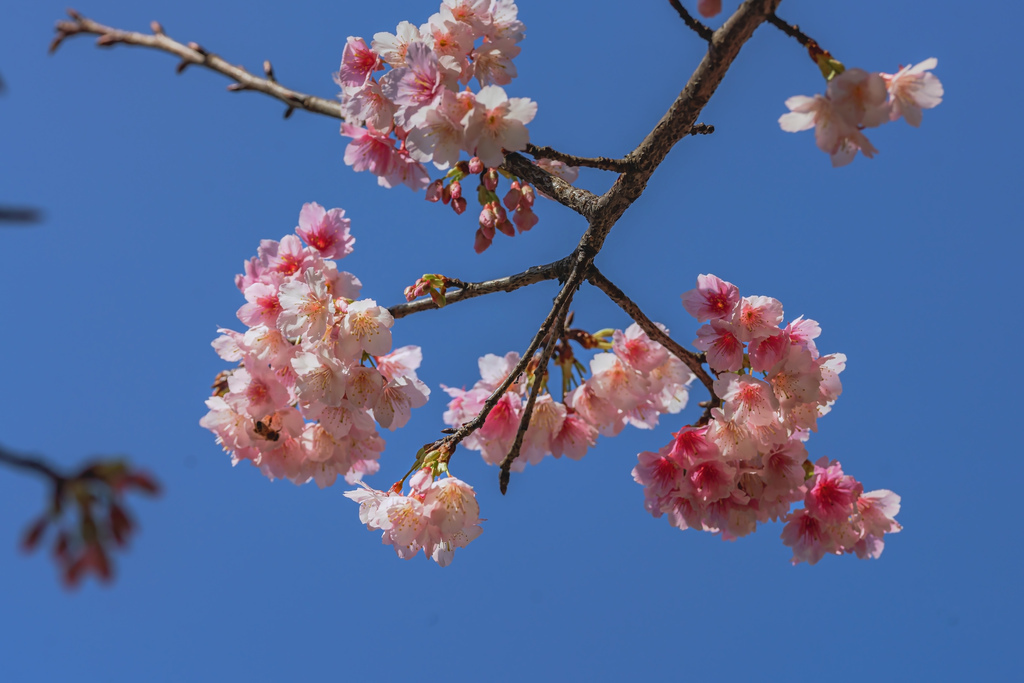 2024021300103.JPG 2024021300103.JPG