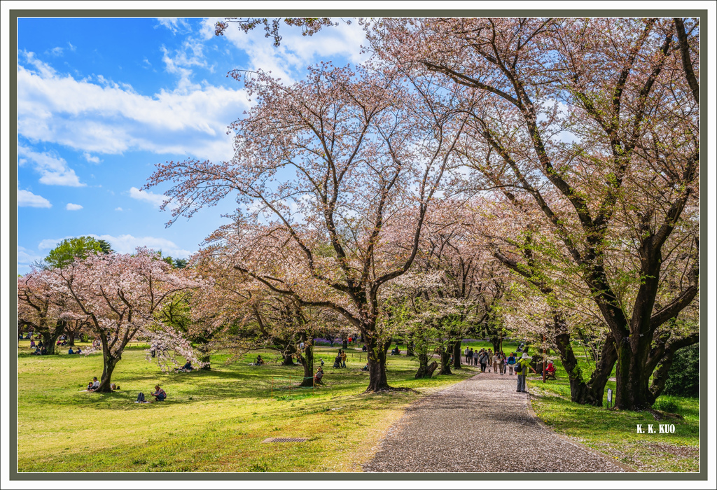 20250414昭和紀念公園_6752-1 拷貝 2.jpg