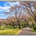 20250414昭和紀念公園_6752-1 拷貝 2.jpg