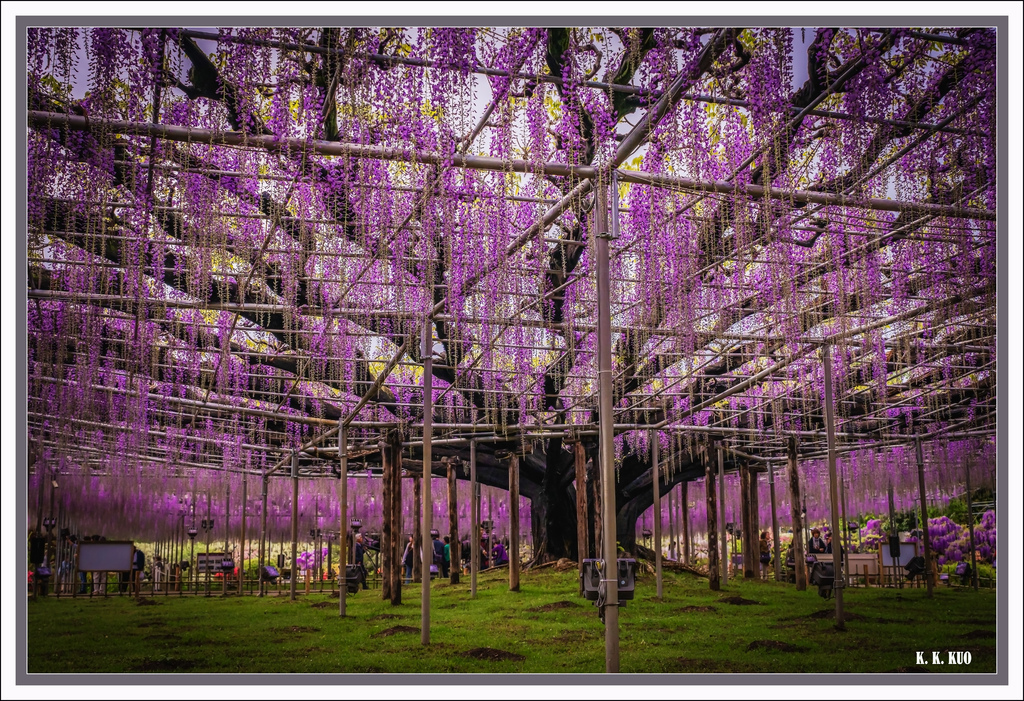 20250424長陸海濱公園_3441-1 拷貝 2.jpg