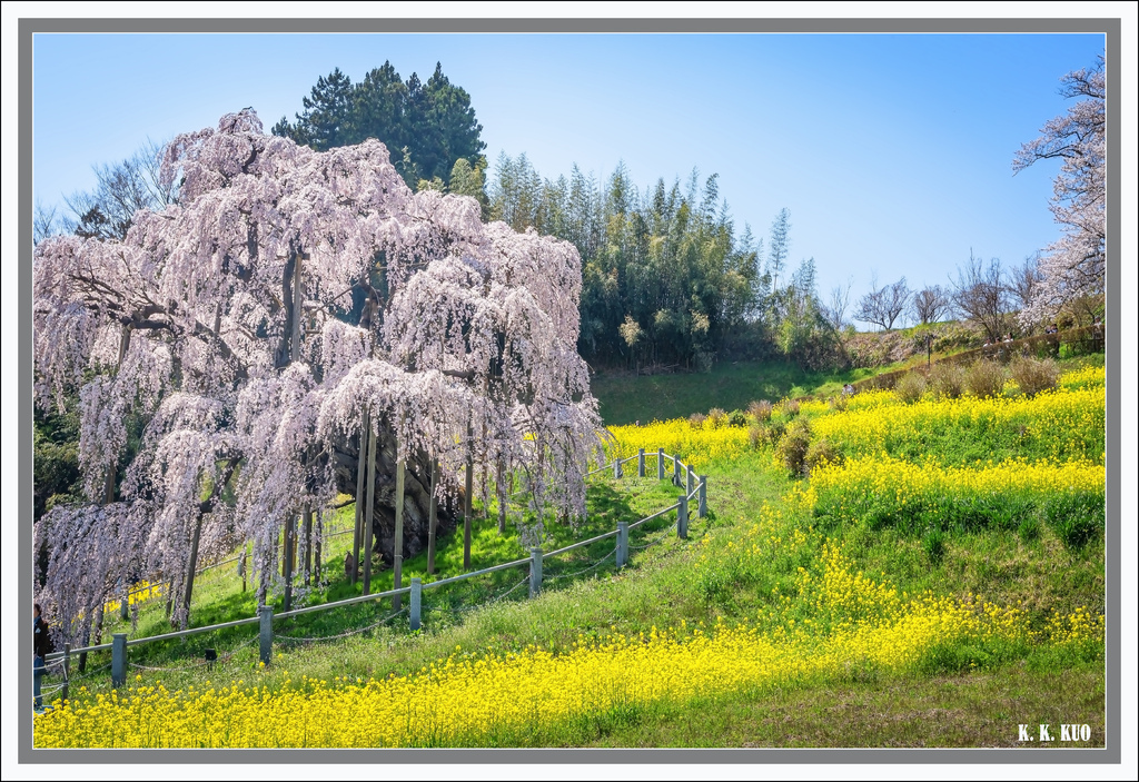 20250417日本山形縣_7504-1 拷貝 2.jpg 20250417日本山形縣_7504-1 拷貝 2.jpg