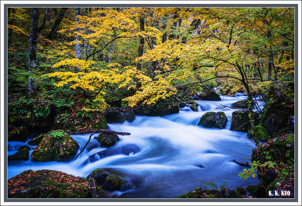 202511160522 拷貝.jpg