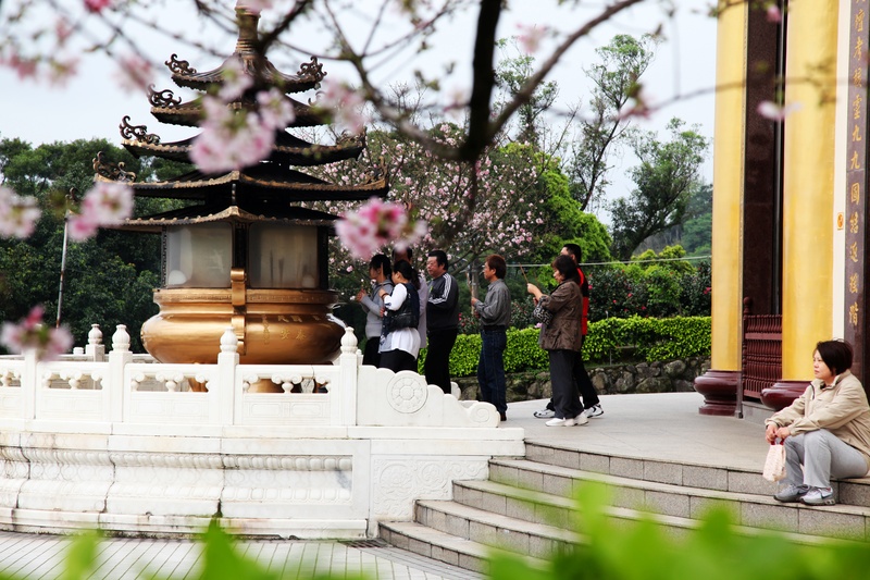 台塑四寶3月營收速報！.jpg