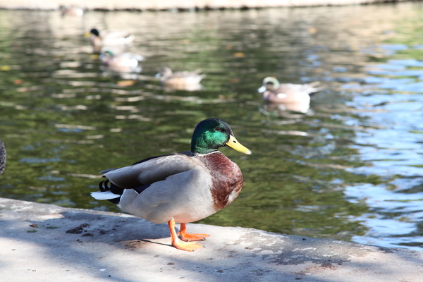 IMG_2823.jpg IMG_2823.jpg