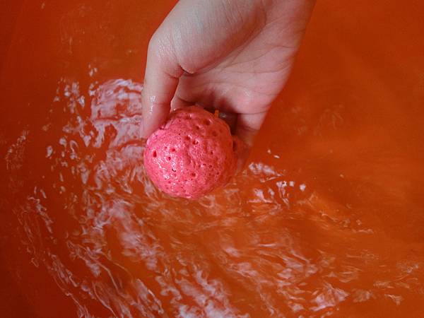 CIMG1352.JPG CIMG1352.JPG