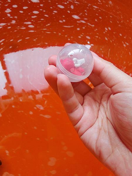 CIMG1354.JPG CIMG1354.JPG