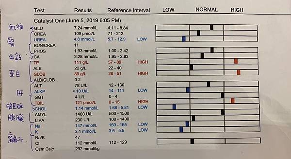 貓傳染性腹膜炎病發7日療程紀錄：注射GS441病毒抑製劑　戰