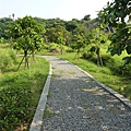 B 熱帶植物園 60.JPG