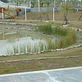 A 右昌森林公園 048.JPG