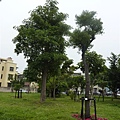 A 右昌森林公園 069.JPG