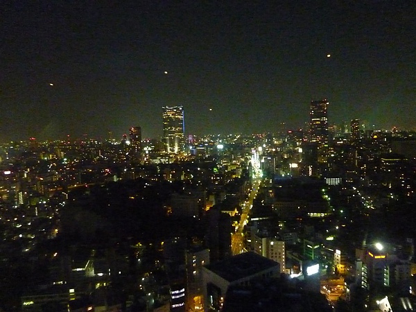 D4 L 東京鐵塔 30 塔上夜景.JPG