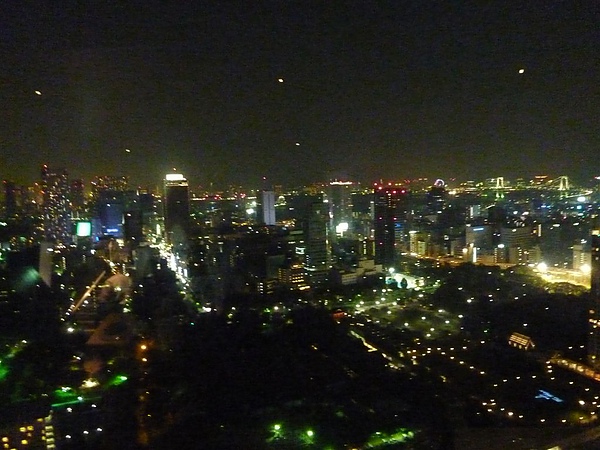 D4 L 東京鐵塔 35 塔上夜景.JPG
