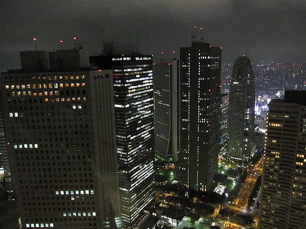 D1 H 東京都廳夜景 14.JPG