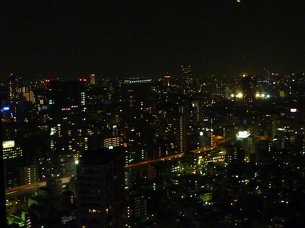 D4 L 東京鐵塔 34 塔上夜景.JPG