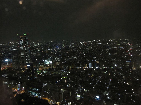 D1 H 東京都廳夜景 11.JPG