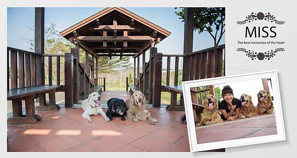 226450759.jpg 226450759.jpg