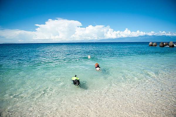 NEW_5938.jpg NEW_5938.jpg