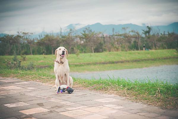 NEW_8950.jpg NEW_8950.jpg