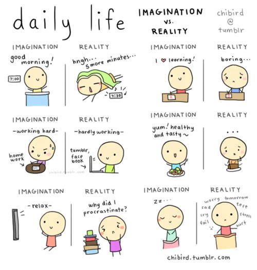 daily life imagination vs. reality.jpg