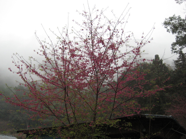 IMG_6313.JPG