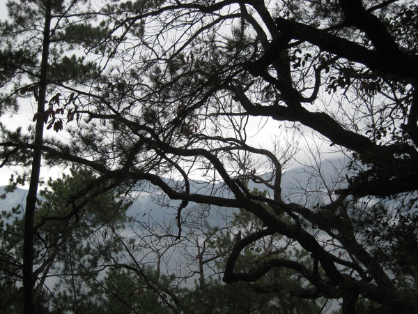 IMG_6334.JPG