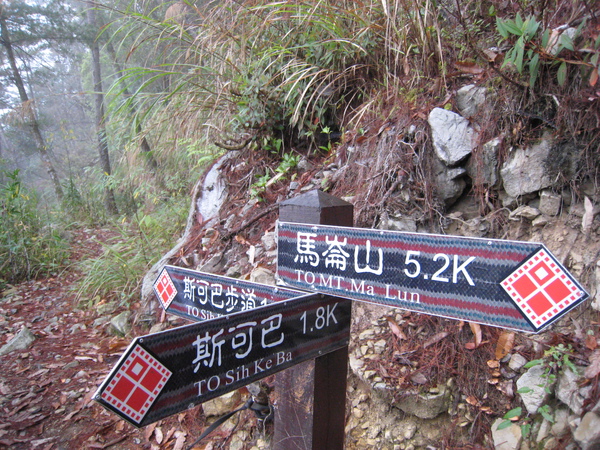 IMG_6341.JPG