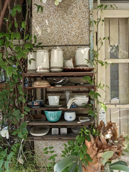 PXL_20210315_052838466.jpg PXL_20210315_052838466.jpg