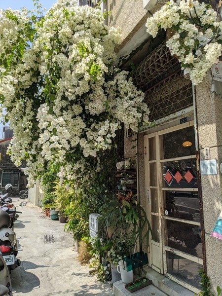 PXL_20210315_052745879.jpg PXL_20210315_052745879.jpg