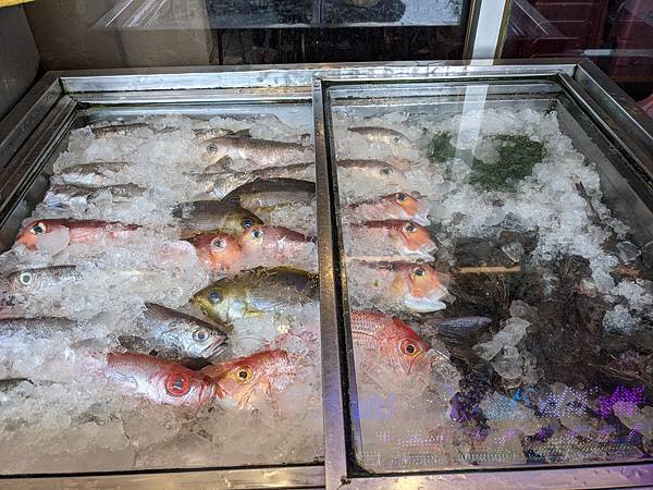 PXL_20211018_040441993.jpg PXL_20211018_040441993.jpg