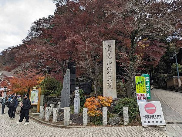 2023東京紅葉行-Day2