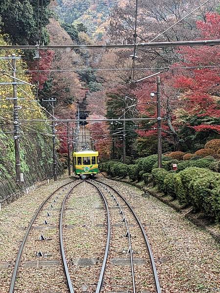 2023東京紅葉行-Day2