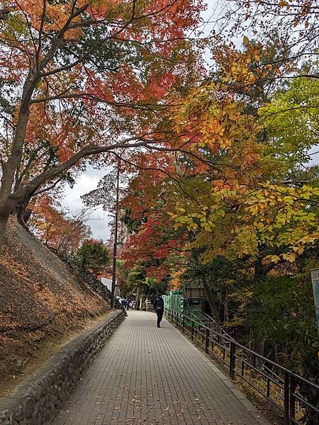 2023東京紅葉行-Day2