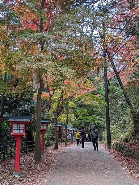 2023東京紅葉行-Day2