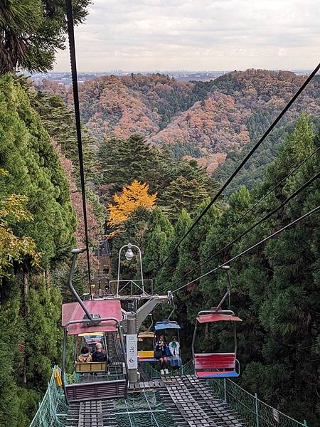 2023東京紅葉行-Day2