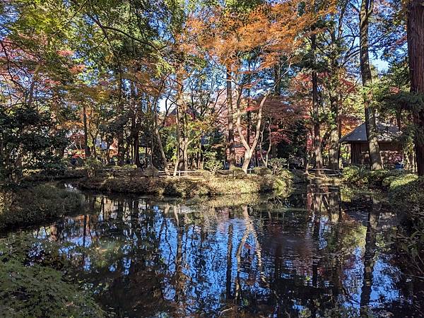 埼玉紅葉-平林寺