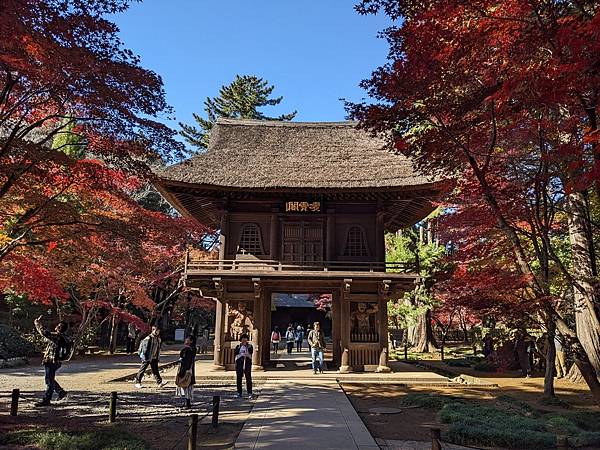 埼玉紅葉-平林寺