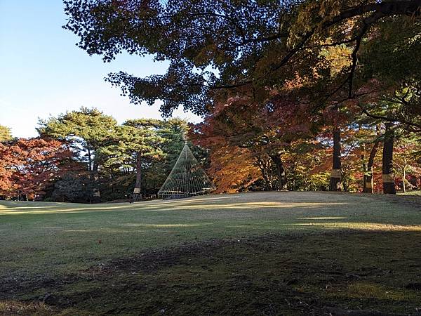 2023東京紅葉行-Day3