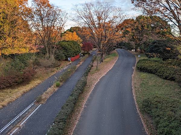 2023東京紅葉行-Day3