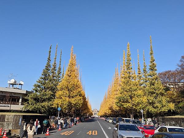 2023東京紅葉行-Day4