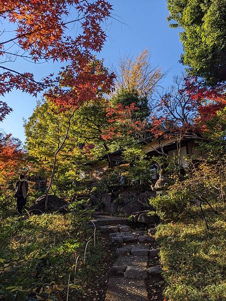 2023東京紅葉行-Day4